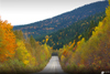 Nationalpark Gaspésie